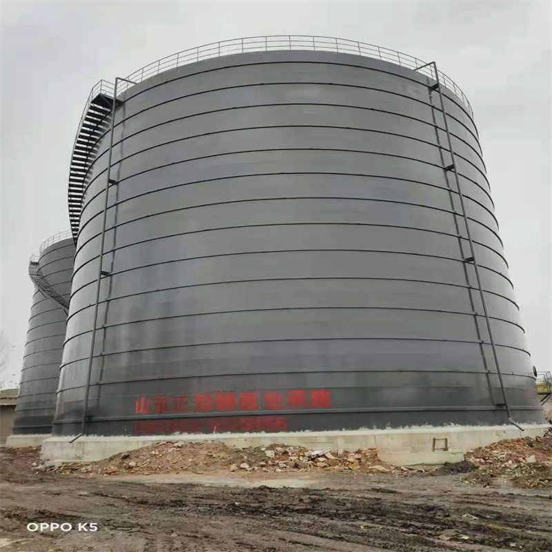 林甸3万吨大型钢板库