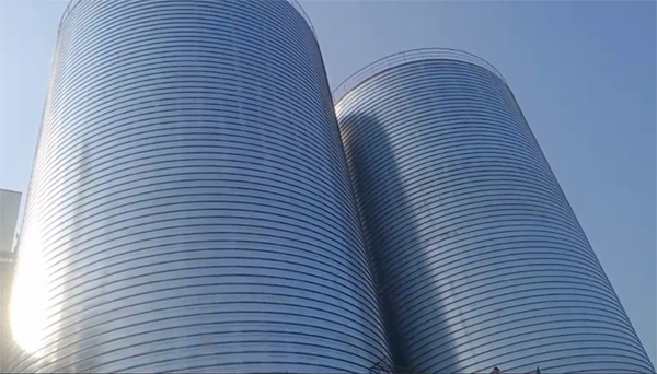 林甸2座混凝土高架卷板仓